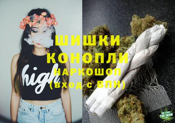 гидра Белоозёрский