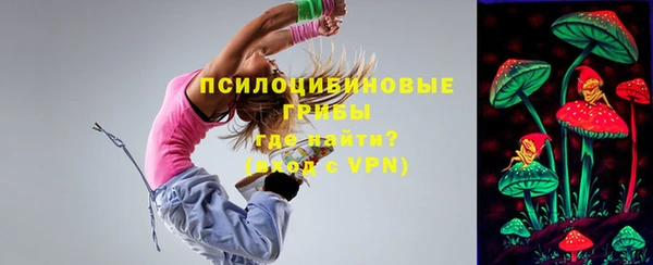 СК Беломорск