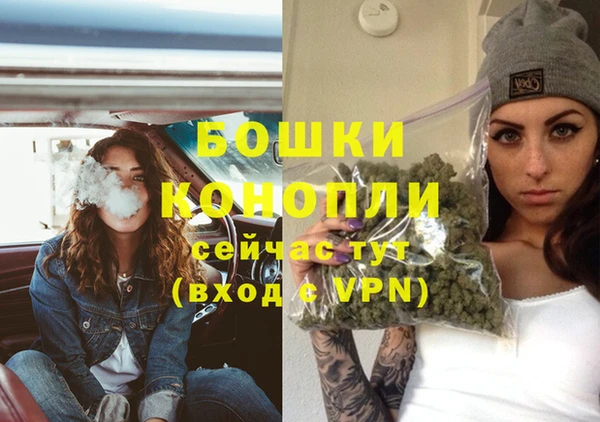 гидра Белоозёрский