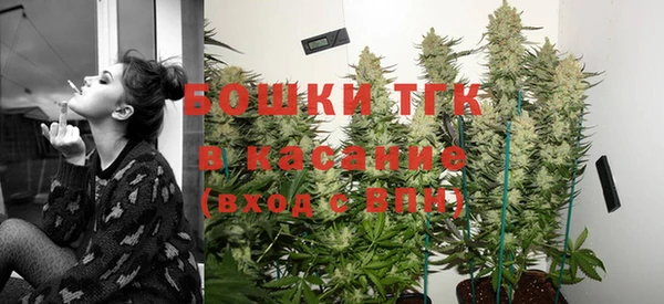 гидра Белоозёрский