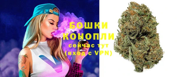 гидра Белоозёрский