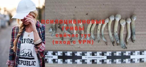 стафф Белокуриха
