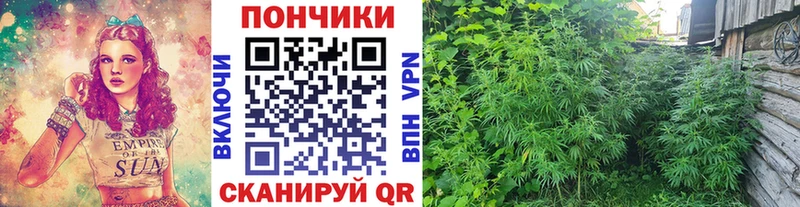 наркотики  Верхотурье  Бошки Шишки SATIVA & INDICA 